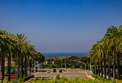 Looking down the palm tree lined street in Corona Del Mar with the ocean in the distance.